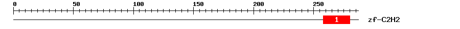 Signature Domain