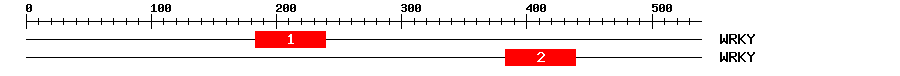 Signature Domain