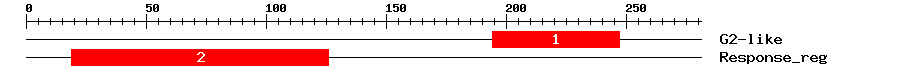 Signature Domain