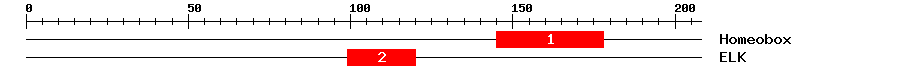 Signature Domain