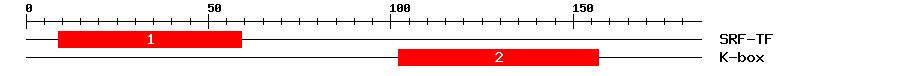 Signature Domain