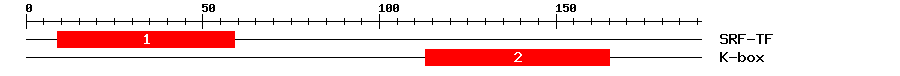 Signature Domain