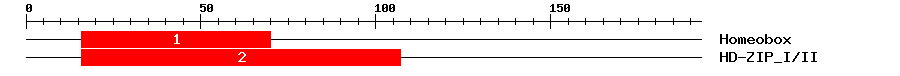 Signature Domain