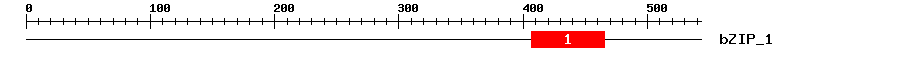 Signature Domain