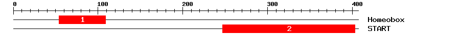 Signature Domain