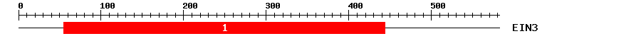 Signature Domain