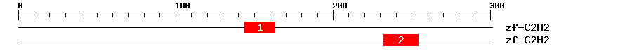 Signature Domain