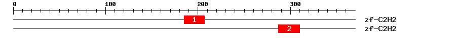 Signature Domain