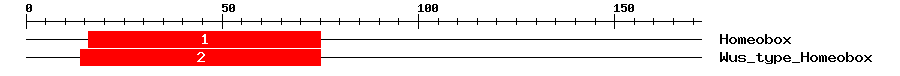 Signature Domain