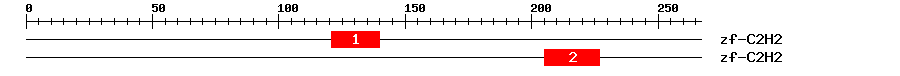 Signature Domain