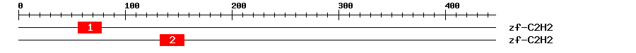 Signature Domain