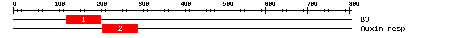 Signature Domain