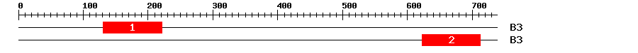 Signature Domain