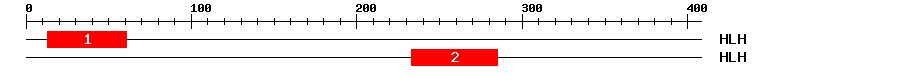 Signature Domain