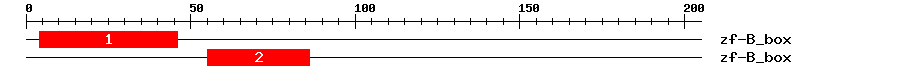 Signature Domain