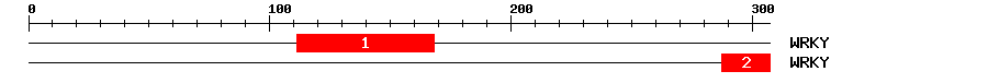 Signature Domain