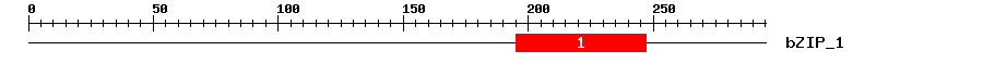 Signature Domain