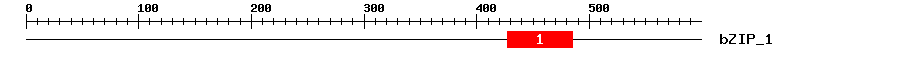 Signature Domain