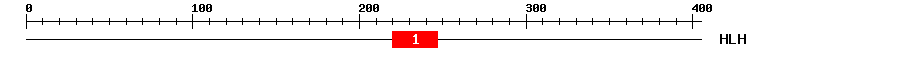 Signature Domain
