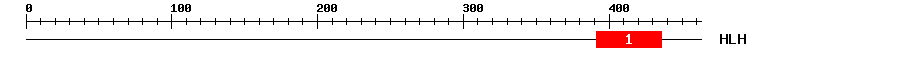 Signature Domain