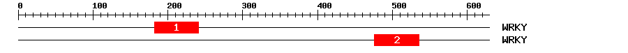 Signature Domain