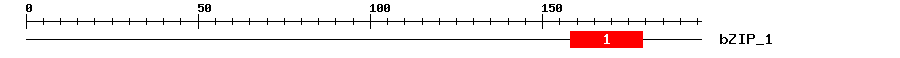 Signature Domain