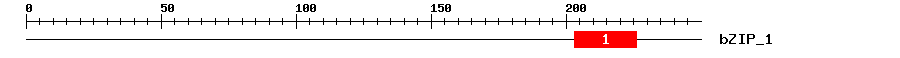 Signature Domain