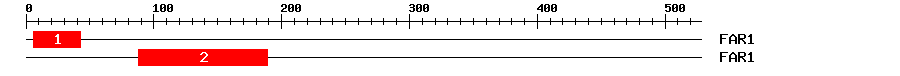 Signature Domain