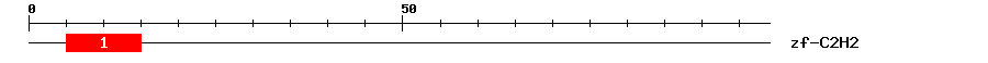 Signature Domain