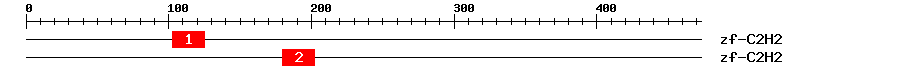 Signature Domain