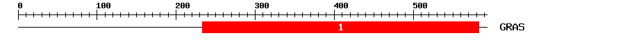 Signature Domain