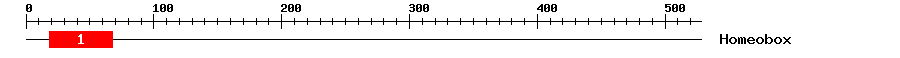 Signature Domain