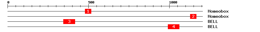 Signature Domain