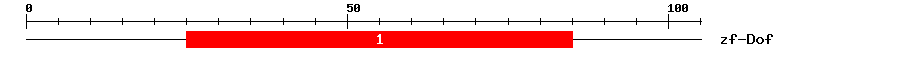 Signature Domain