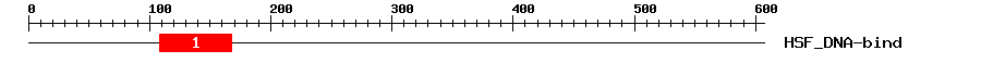 Signature Domain