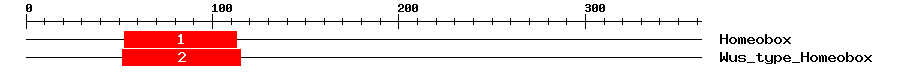 Signature Domain