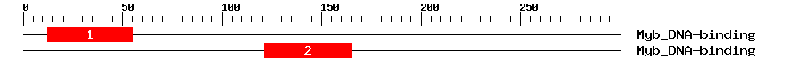Signature Domain