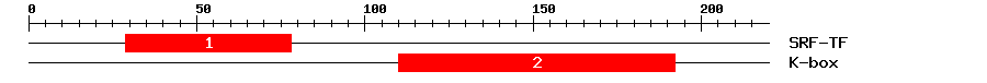 Signature Domain
