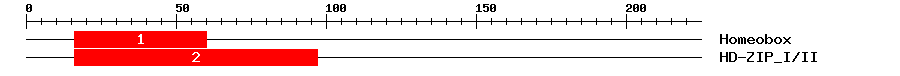 Signature Domain