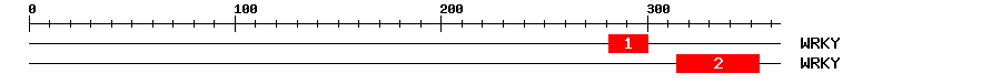 Signature Domain