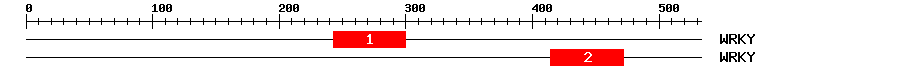 Signature Domain