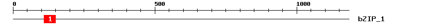 Signature Domain