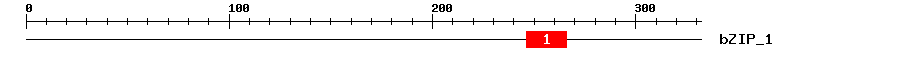 Signature Domain