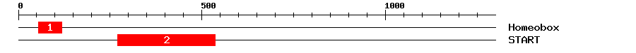 Signature Domain