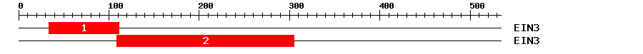Signature Domain