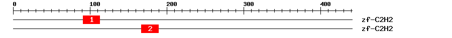 Signature Domain