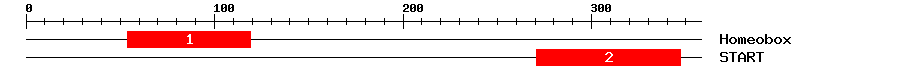 Signature Domain