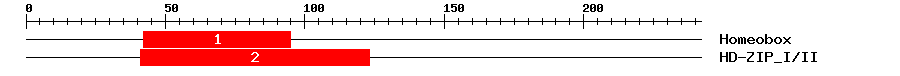 Signature Domain