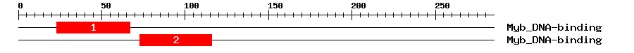 Signature Domain