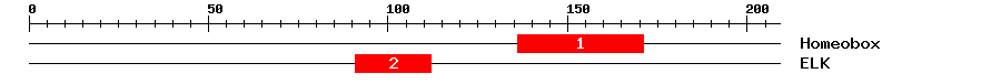 Signature Domain